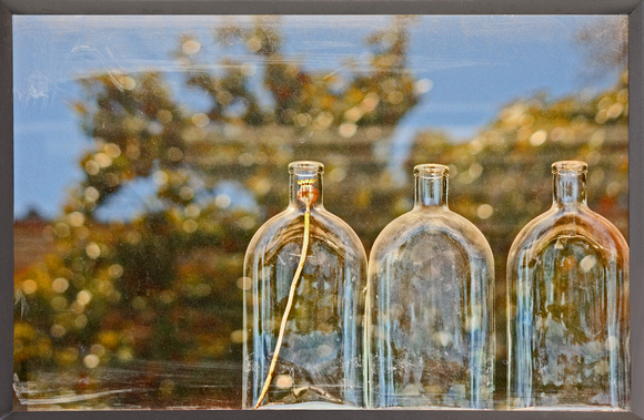Three Bottles in Window
