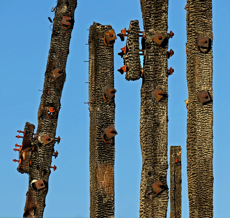 Burnt Poles