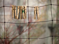 Clothespins on Wire Fence