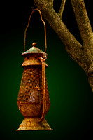 Lantern in Tree