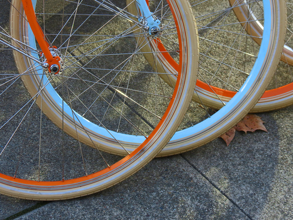 Bicycle Wheels and Leaf