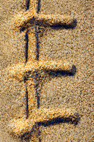 Tire Track in Sand