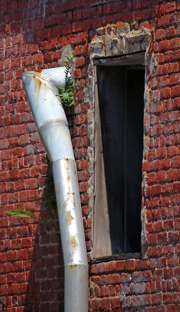 Downspout and Window