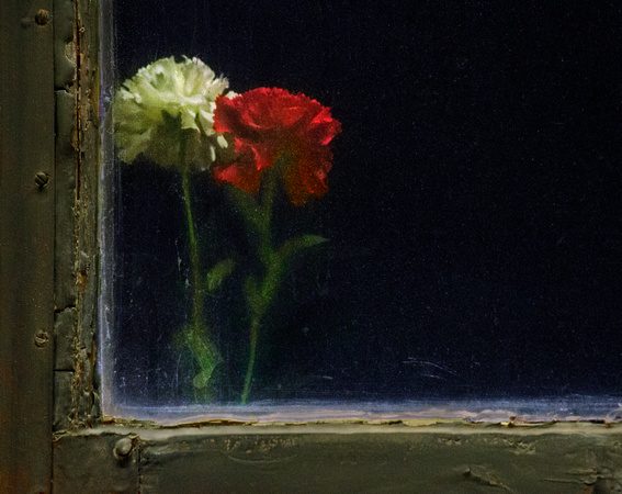 Flowers in Window